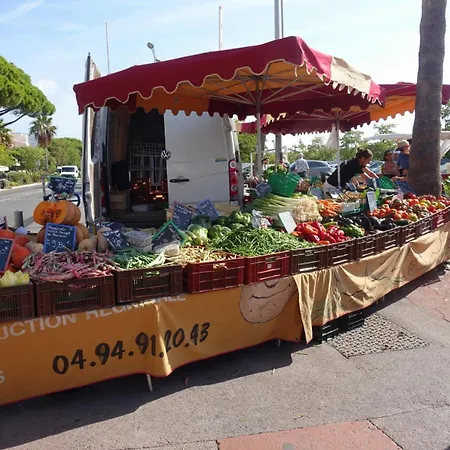 Charme Mediterranee Vue Mer Piscine Terrasse Clim Parking Gratuit 公寓 邦多勒