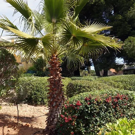 Charme Mediterranee Vue Piscine Terrasse Clim Parking Gratuit דירה