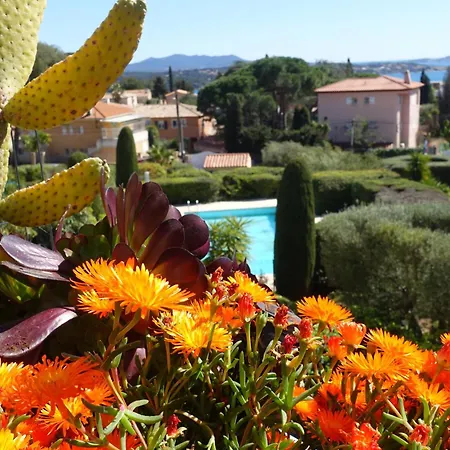 Charme Mediterranee Vue Mer Piscine Terrasse Clim Parking Gratuit